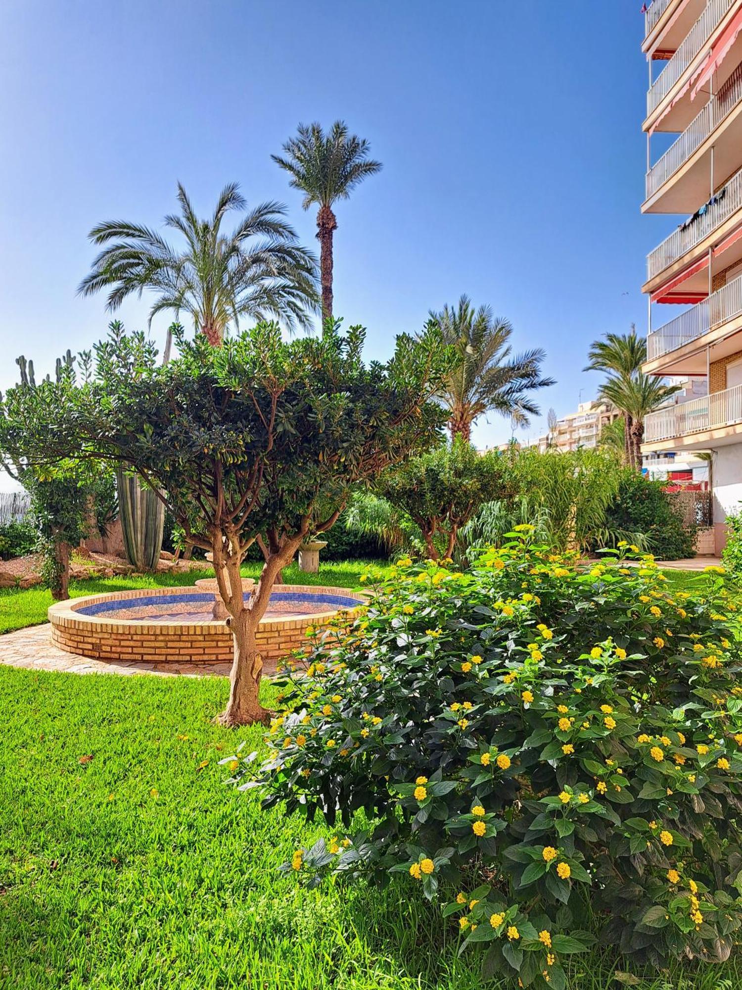Garden Beach Apartment Torrevieja Kültér fotó