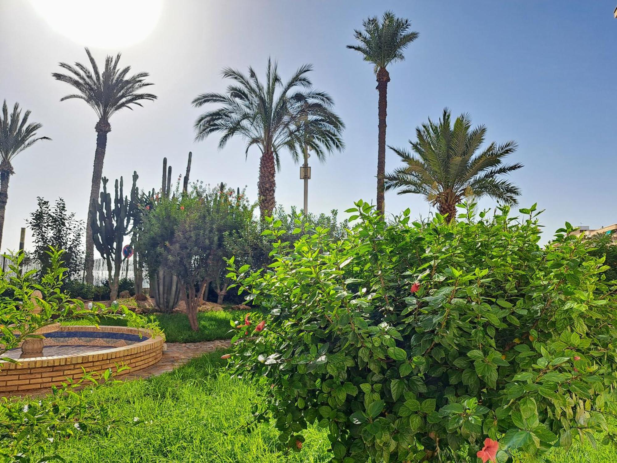Garden Beach Apartment Torrevieja Kültér fotó
